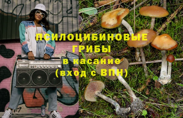 сатива Краснотурьинск