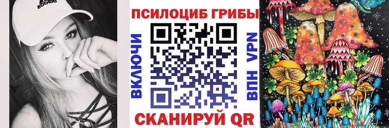 Купить где  Никольское  Галлюциногенные грибы Magic Shrooms 